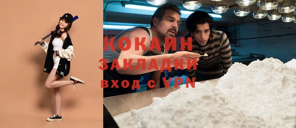 индика Алексин