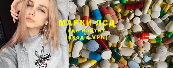 индика Алексин