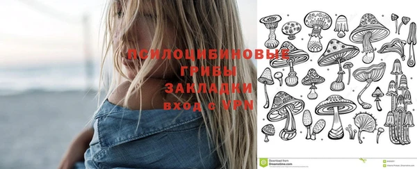 индика Алексин