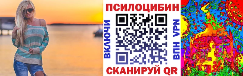 Купить закладки  Новочебоксарск  Галлюциногенные грибы мухоморы 